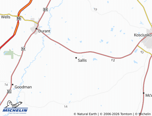 Mapa MICHELIN Sallis - ViaMichelin