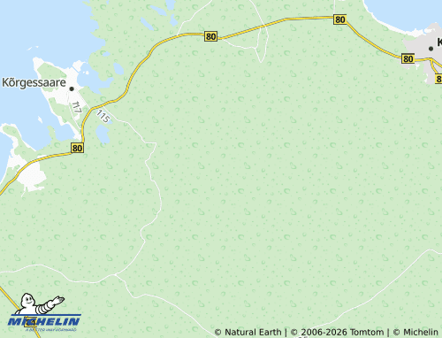 Mapa MICHELIN Metsaküla - ViaMichelin