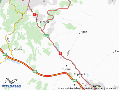 MICHELIN Mărtinești map - ViaMichelin
