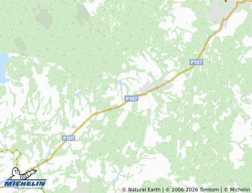 Carte MICHELIN Borikhino - ViaMichelin