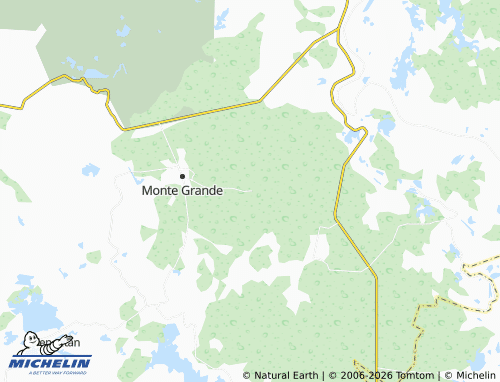 Mapa MICHELIN Pueblo Nuevo - ViaMichelin