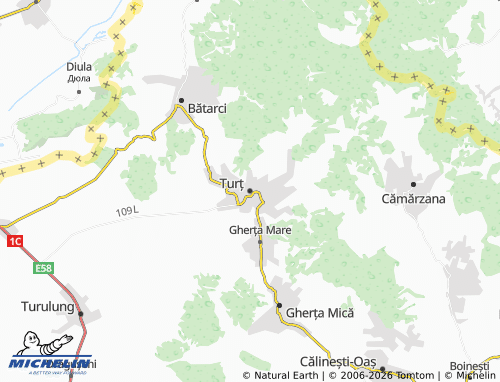 Mapa MICHELIN Turț - ViaMichelin