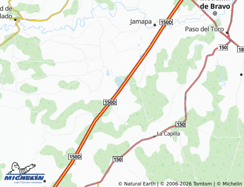 Mappa MICHELIN El Zacatal - ViaMichelin