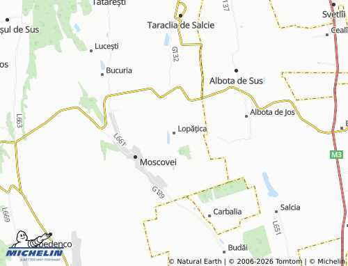 Mapa MICHELIN Lopățica - ViaMichelin