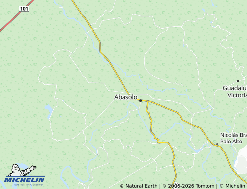 Mappa MICHELIN Ejido Nuevo Dolores - ViaMichelin