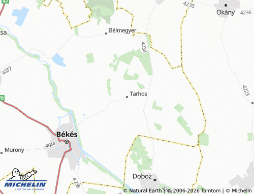 Mappa MICHELIN Tarhos - ViaMichelin