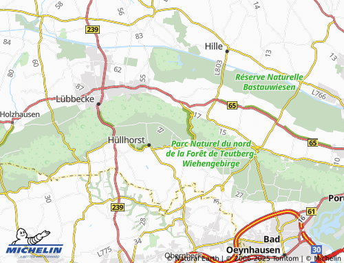 Mappa MICHELIN Holsen - ViaMichelin