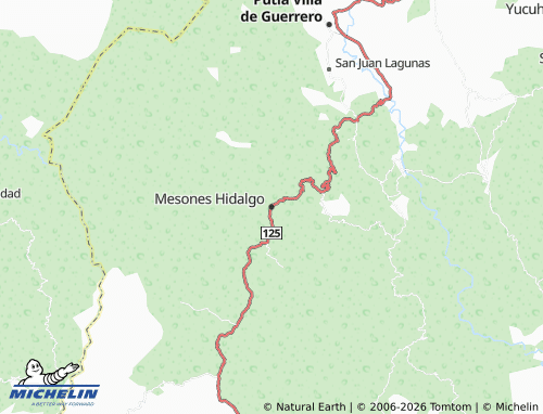 MICHELIN Mesones Hidalgo map - ViaMichelin