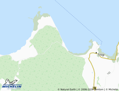 Mapa MICHELIN Meiuste - ViaMichelin