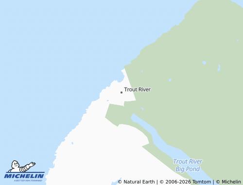 Mappa MICHELIN Trout River - ViaMichelin
