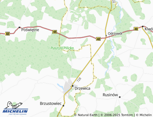 Carte MICHELIN Domaszno - ViaMichelin