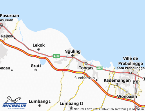 Carte MICHELIN Nguling - ViaMichelin