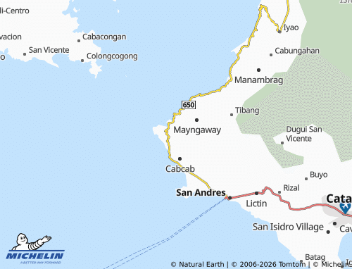 MICHELIN Codon map - ViaMichelin
