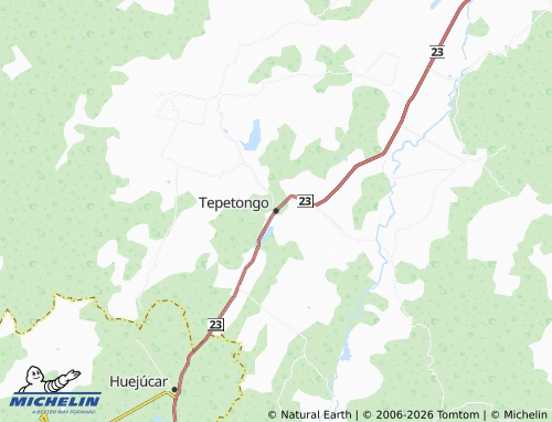 Carte MICHELIN Tepetongo - ViaMichelin