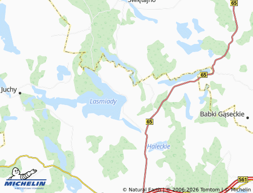 MICHELIN Piaski map - ViaMichelin
