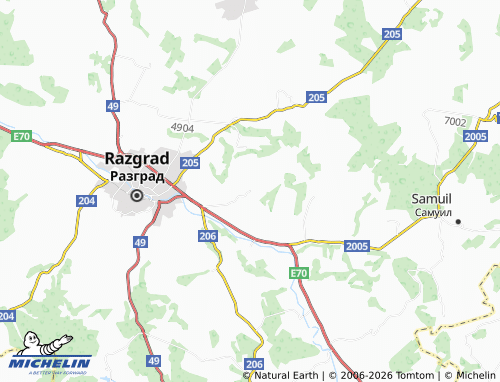 MICHELIN Radingrad map - ViaMichelin