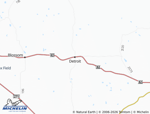 Mappa MICHELIN Detroit - ViaMichelin