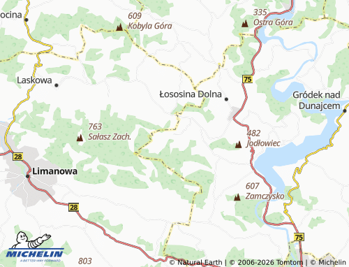 Carte MICHELIN Stańkowa - ViaMichelin