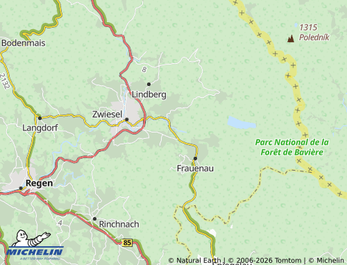 MICHELIN Zwieselau map - ViaMichelin