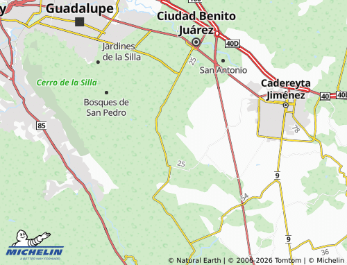 Mappa MICHELIN Carricitos - ViaMichelin