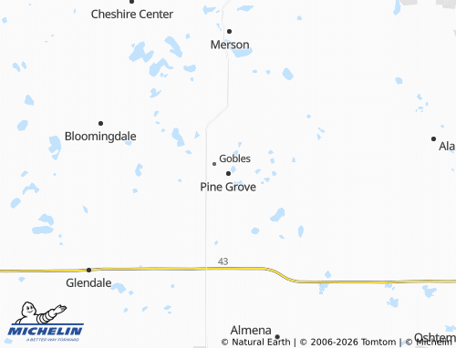 Mapa MICHELIN Pine Grove - ViaMichelin