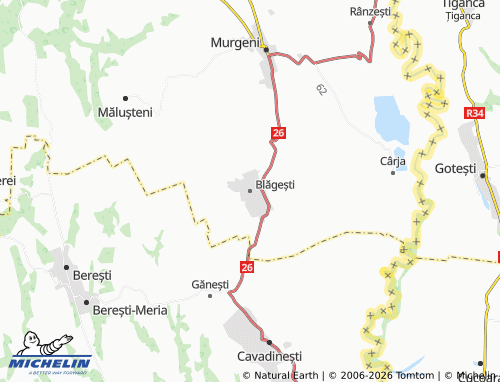 MICHELIN Blăgești map - ViaMichelin