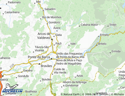 Carte MICHELIN Veiga - ViaMichelin