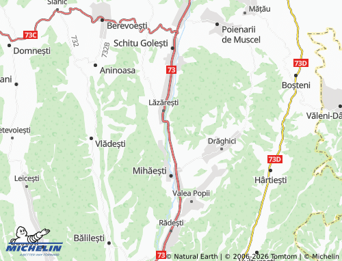 Mappa MICHELIN Furnicoși - ViaMichelin