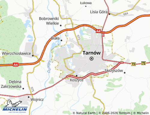 MICHELIN Chyszów map - ViaMichelin