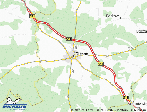 Carte MICHELIN Olesno - ViaMichelin