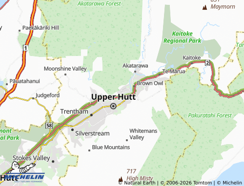 Mapa MICHELIN Totara Park - ViaMichelin