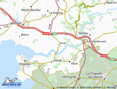 MICHELIN Arzal map - ViaMichelin