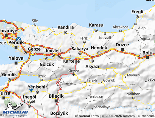 MICHELIN Arifiye map - ViaMichelin