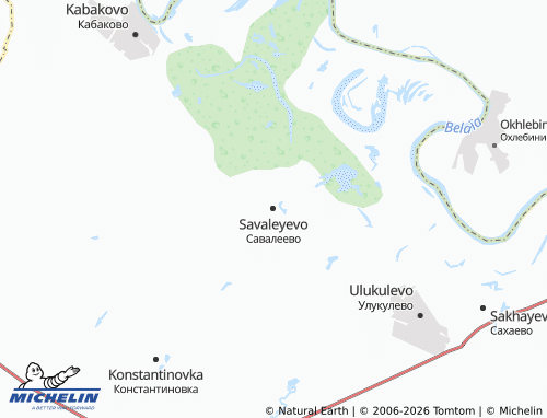 MICHELIN Savaleyevo map - ViaMichelin
