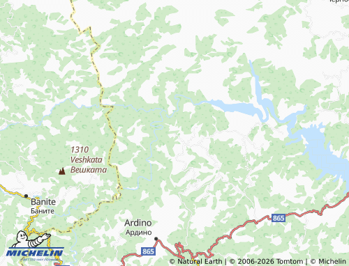 MICHELIN-Landkarte Bashevo - ViaMichelin
