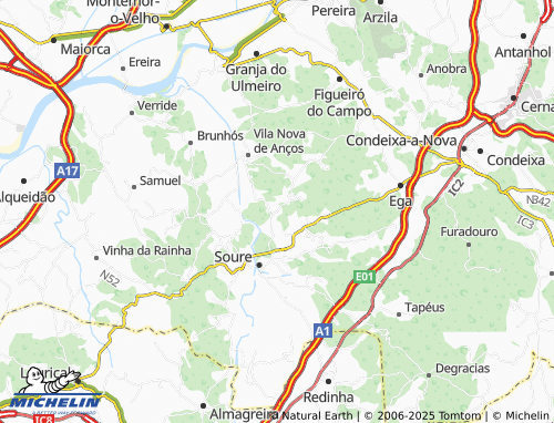 Mapa MICHELIN Casal do Rei - ViaMichelin