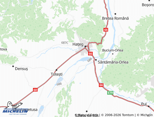 Mapa MICHELIN Nălațvad - ViaMichelin