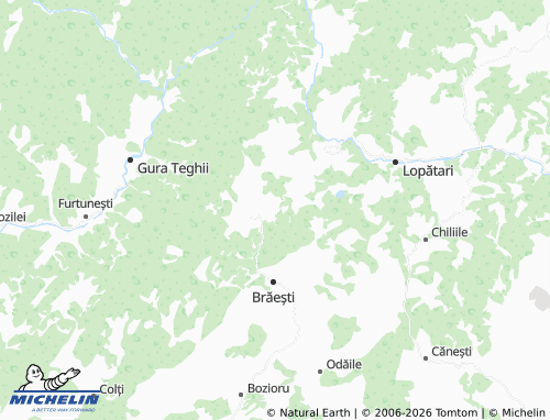 Mappa MICHELIN Goidești - ViaMichelin