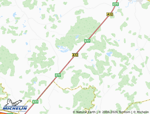 MICHELIN Griniai map - ViaMichelin