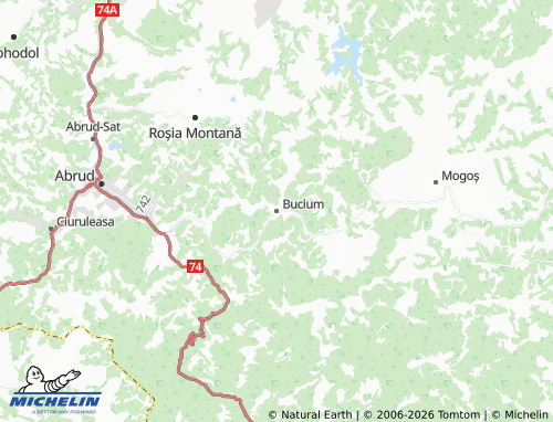 MICHELIN Bucium map - ViaMichelin