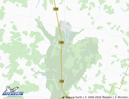 Mapa MICHELIN Šaukliai - ViaMichelin