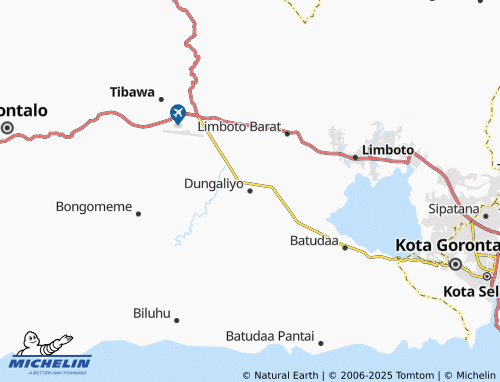 MICHELIN Dungaliyo map - ViaMichelin