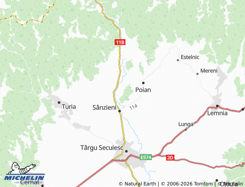 MICHELIN Cașinu Mic map - ViaMichelin