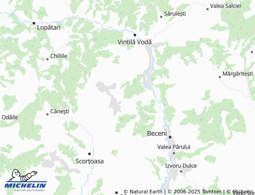 MICHELIN Deleni map - ViaMichelin