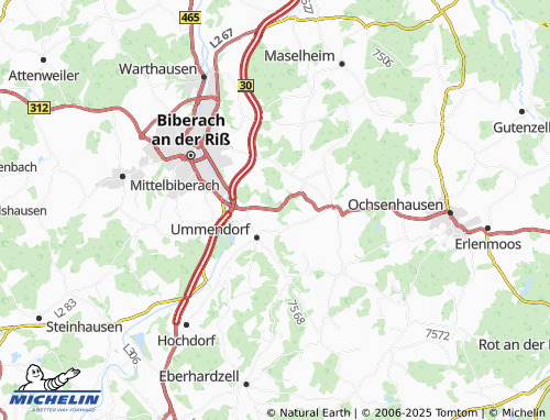 MICHELIN-Landkarte Reichenbach - ViaMichelin