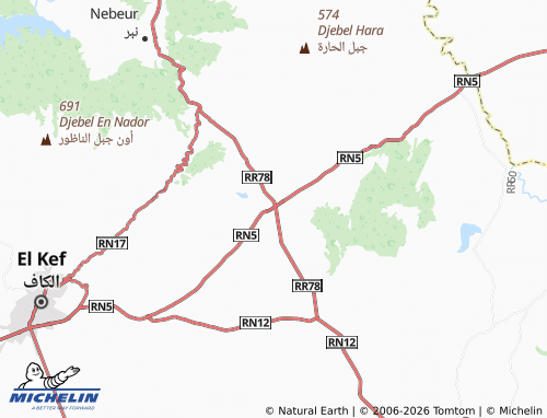 Carte MICHELIN Bordj El Ifa - ViaMichelin