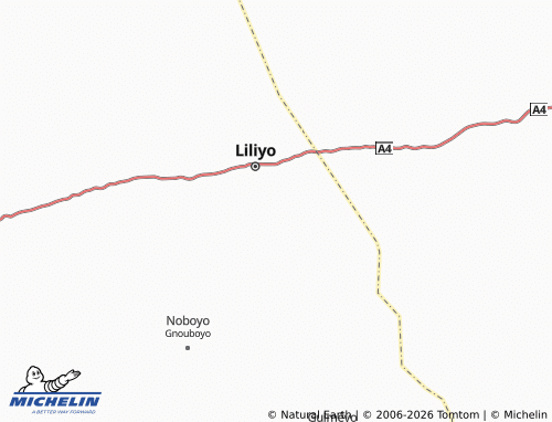 Mapa MICHELIN Sayo - ViaMichelin
