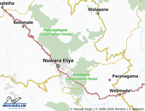 Mappa MICHELIN Park - ViaMichelin