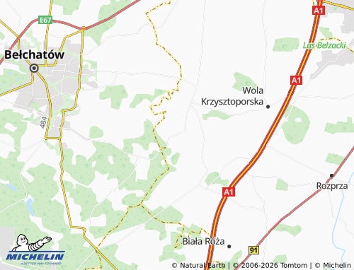 MICHELIN Borowa map - ViaMichelin