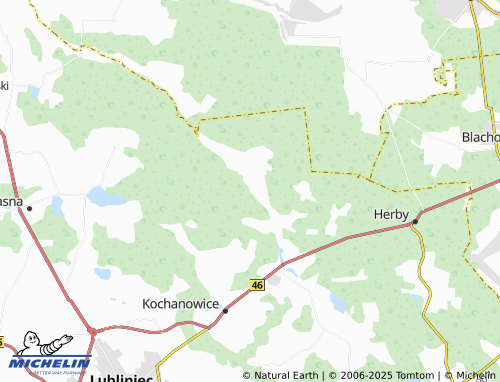 MICHELIN Braszczok map - ViaMichelin